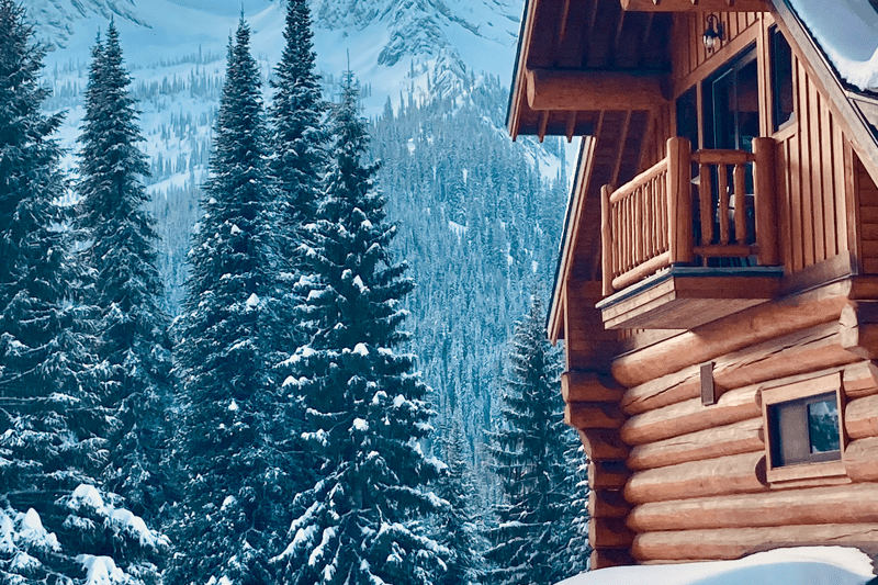 Housekeeper for Winter Catskiing Season image