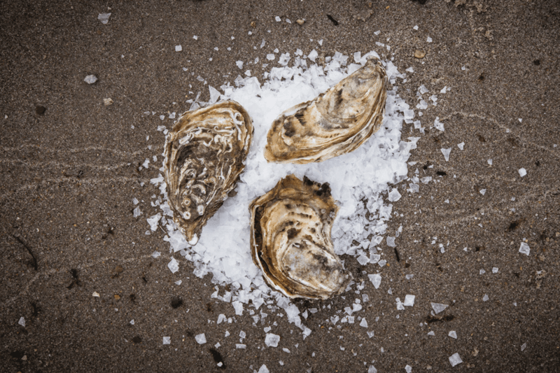 Driv utvecklingen som vår Driftchef inom logistik i Fiskhamnen image