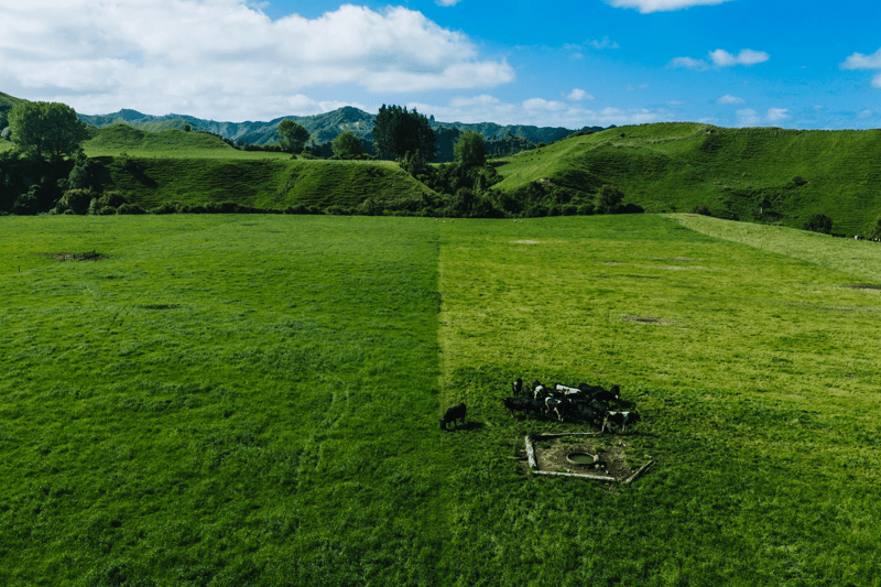 Sales & Engagement Specialist – Livestock Tech image