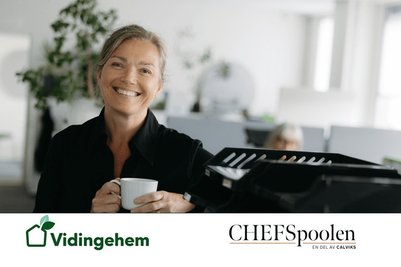 Ekonomichef - Vidingehem image