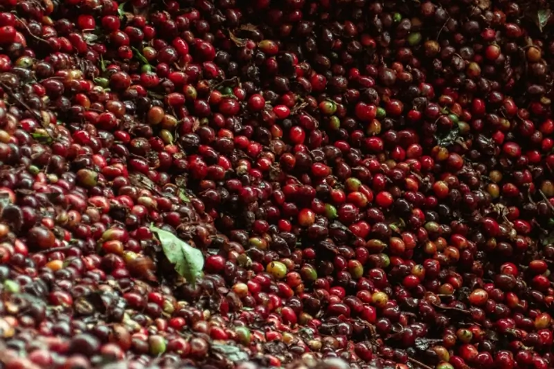 Coffee Trader image