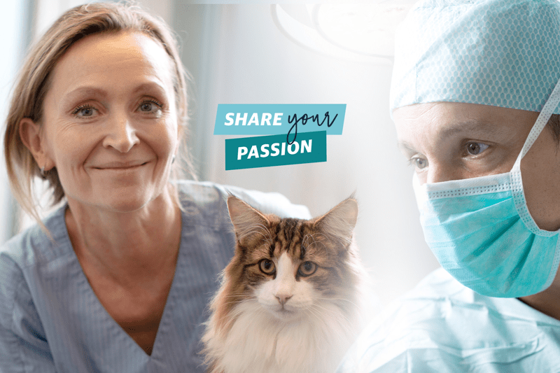 Interim Operations Analyst image