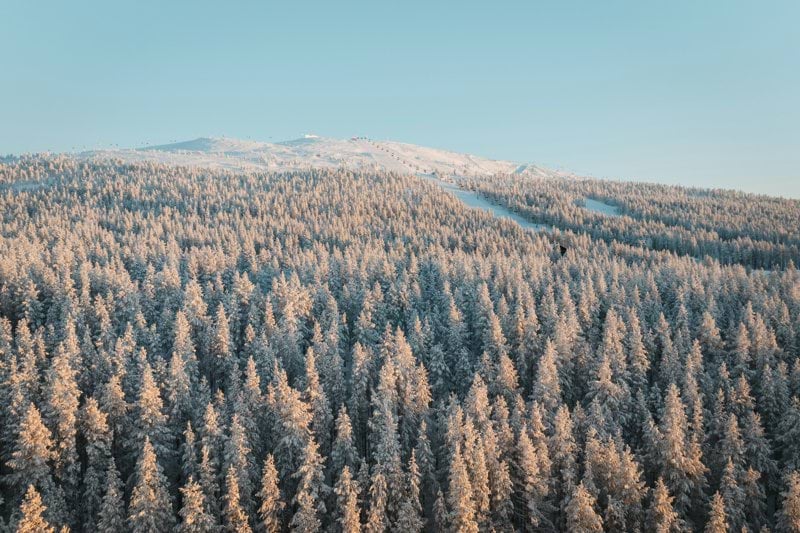Kelkkavuokraamotyöntekijöitä sesonkiin, Levi image