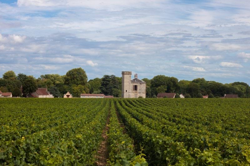 CONSEILLER.E TECHNICO-COMMERCIAL.E VIGNE image