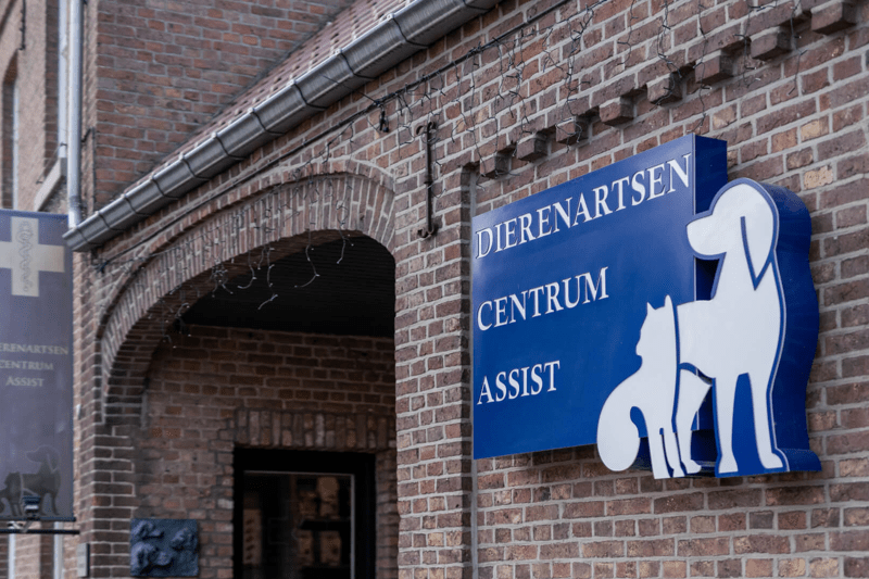 Dierenarts - Assist image
