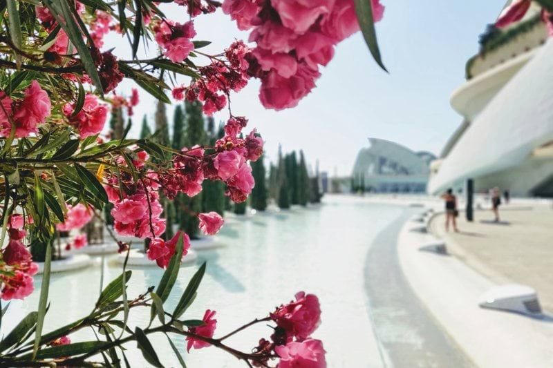 📞 Backoffice topper met commercieel talent gezocht – in zonnig Valencia! image