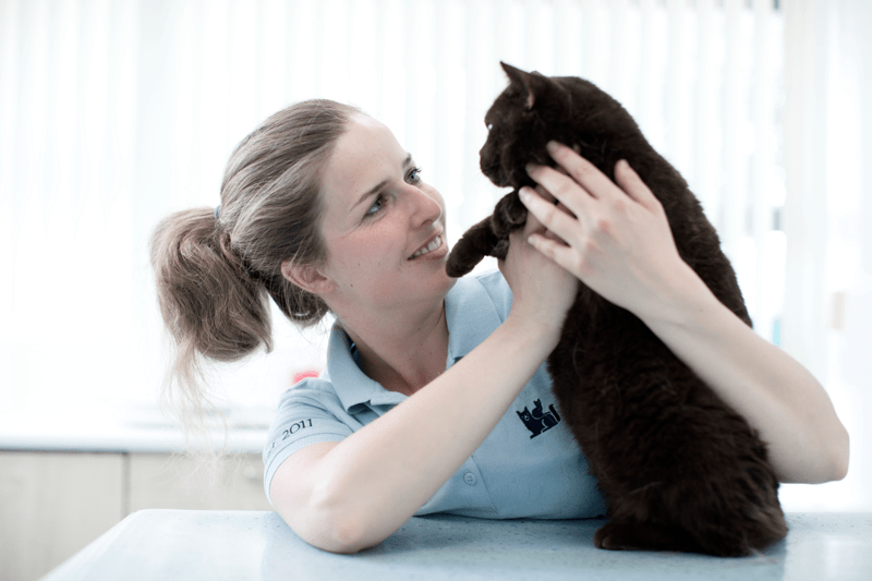 Tierarzthelfer / Tiermedizinische Fachangestellte / TFA (w/m/d) image