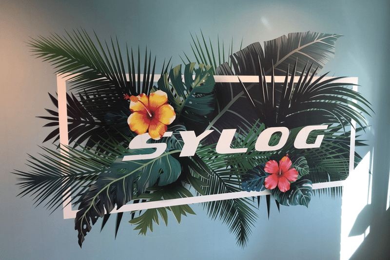 ServiceNow-utvecklare image