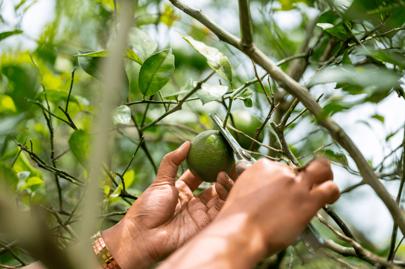Investment Director – Food Systems & Strategic Investments at Swedfund image