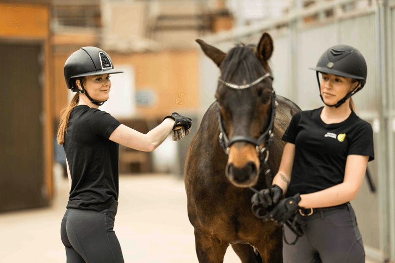 Stallchef till Naturbruksgymnasiet Kalmar image