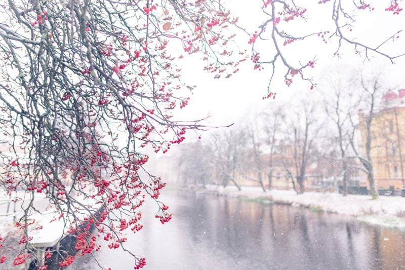 Sjuksköterska till hemsjukvården i Uppsala v.  39-48! image