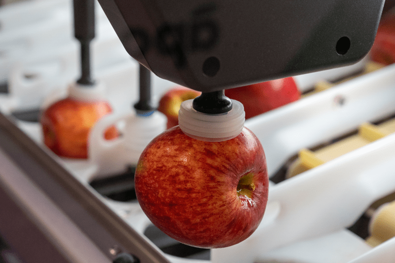 Post-Harvest Quality Lead image