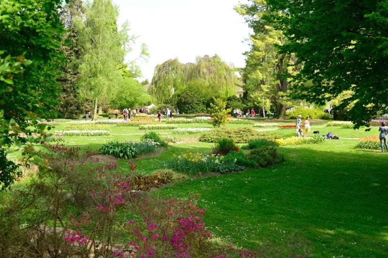 Bli handledare i sommar för ungdomar i park & trädgård image