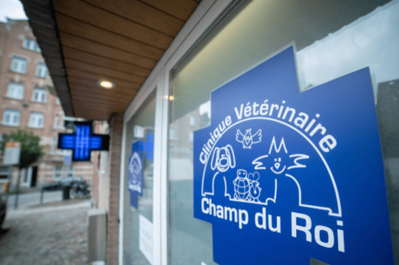 Vétérinaire Cardiologue - Champ Du Roi image