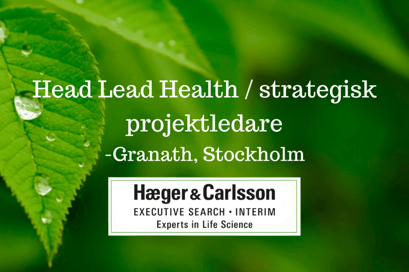 Head Lead Health / strategisk projektledare - Granath image