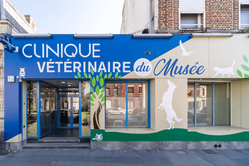Anzin – Clinique du Musée – Vétérinaire Canin/NAC - CDI (H/F) image