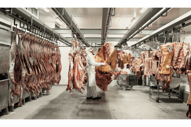 Kesätyöntekijä lihatuotantoon image