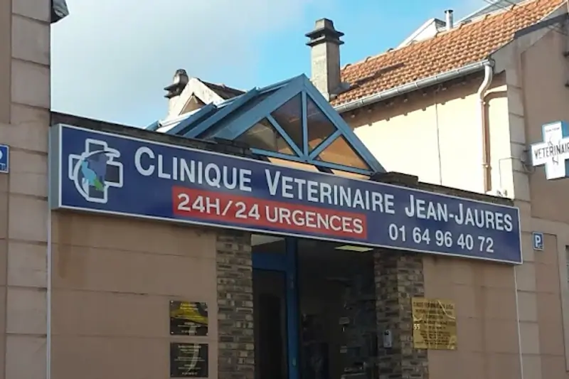 Corbeil-Essonnes - Jean Jaurès - ASV en CDI (H/F) image