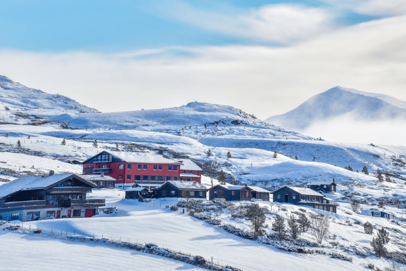 Har du lyst på livet som vertskap i Rondane? image