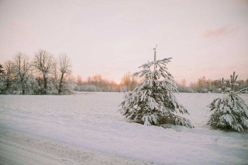 Lääkäri - Hamina image