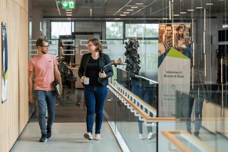 Business Consultant image