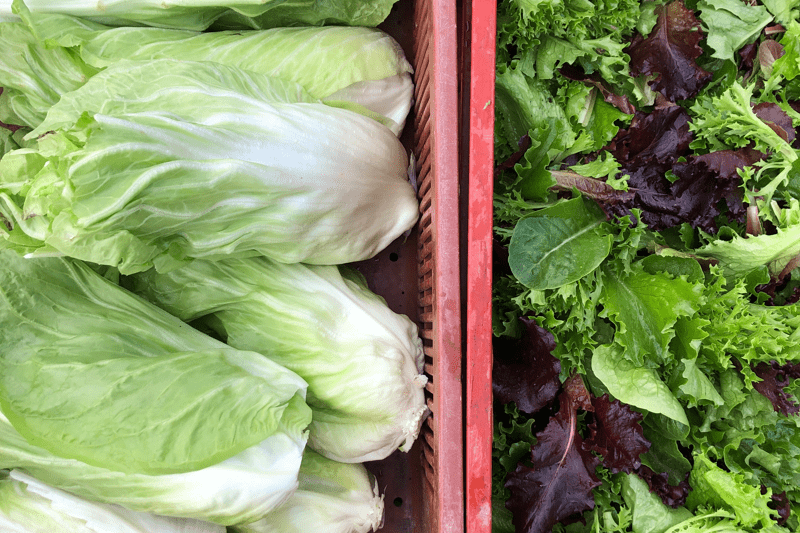 Ouvrier Maraicher Saisonnier (H/F) image