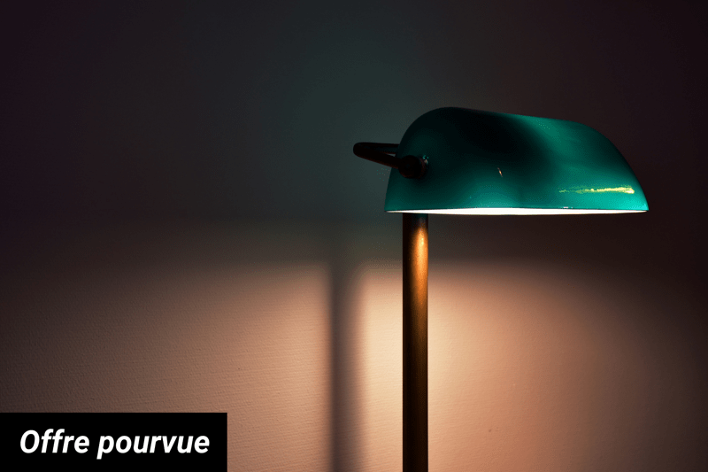 Secrétaire Général H/F image