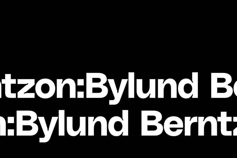 Berntzon:Bylund söker en Strateg/Kam image