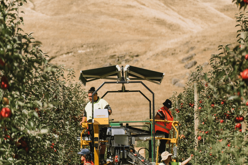 Grower Relationship & Supply Partner image