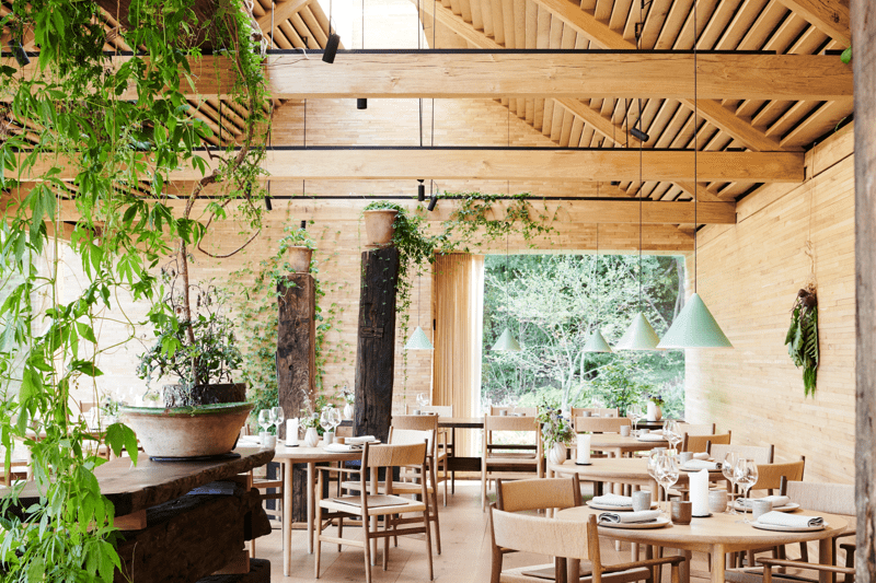 Waiter/Waitress at noma image