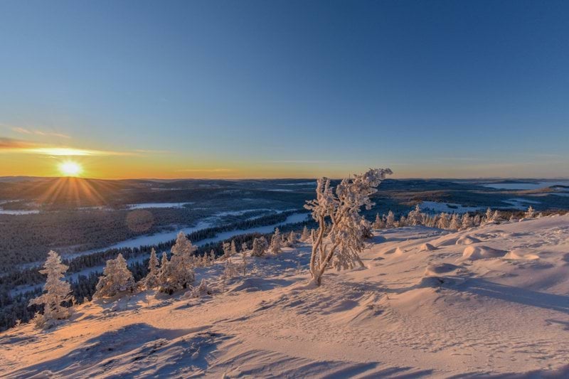 Strategisk inköpare till spännande uppdrag i Boden! image