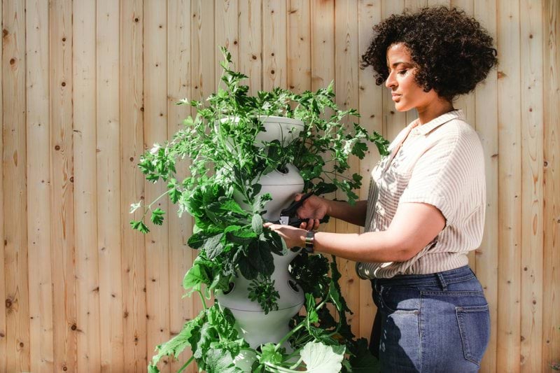 Volunteer Gardener image