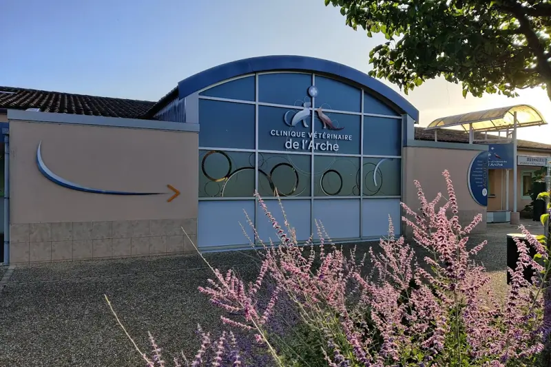 PRIGONRIEUX - ARCHE - VETERINAIRE CHIRURGIEN EN CDI (H/F) image