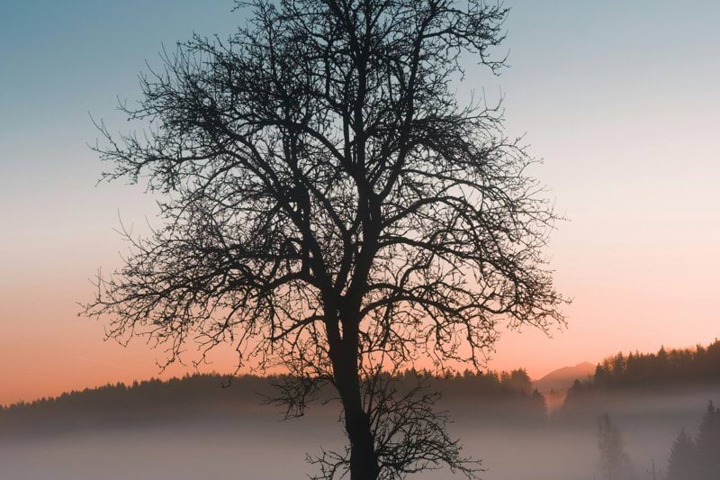 Java utvecklare image
