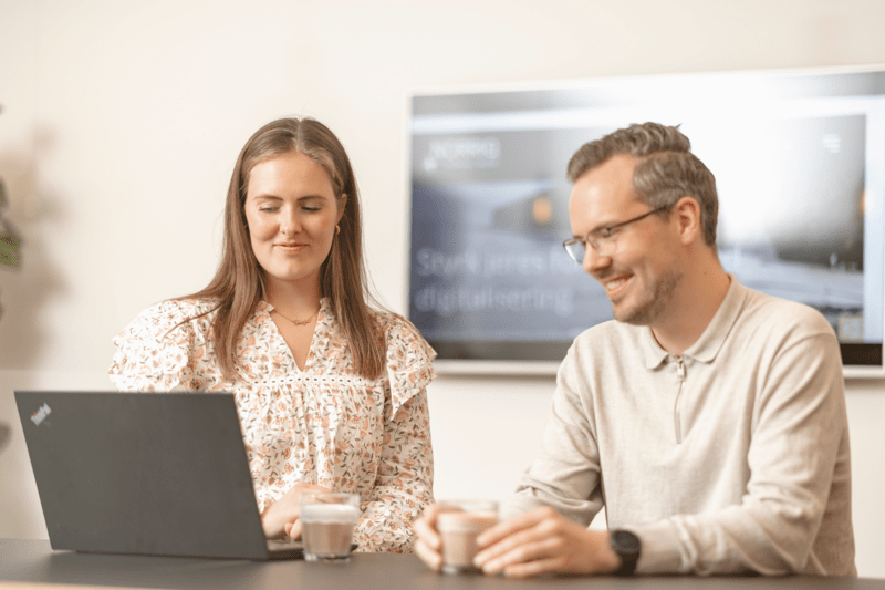 Senior Handelskonsulenter til ERP image