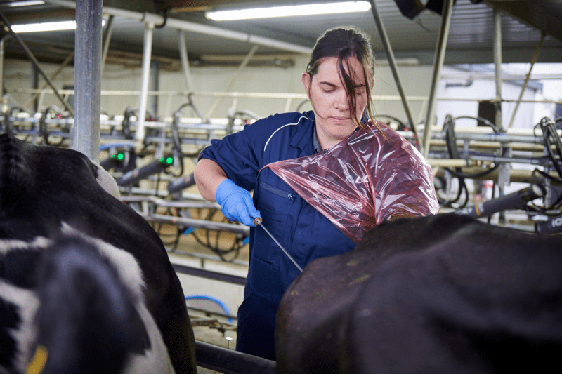 AB Technician Training - Upper South Island image