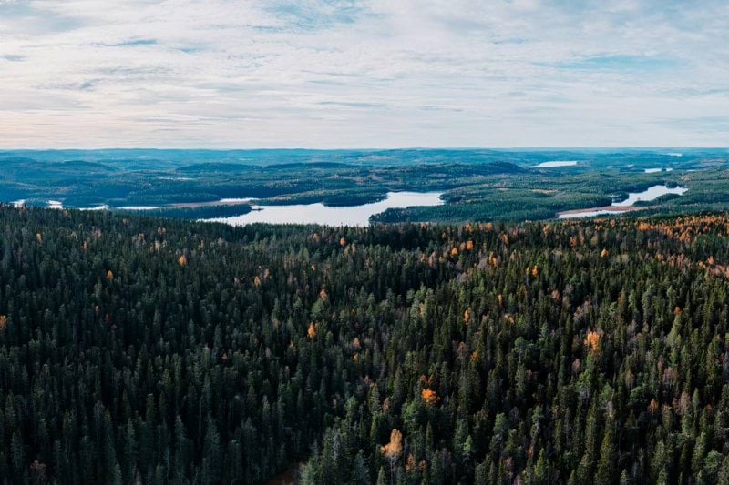 HR-ansvarig Malå Såg image