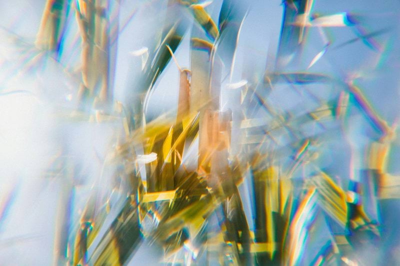 a blurry photo of a tree with a blue sky in the background