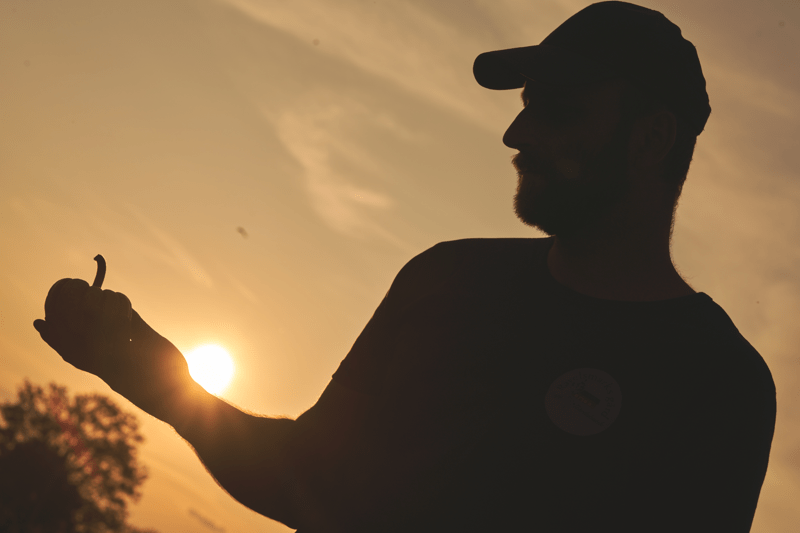 Marketing Automation specialist till LRF image