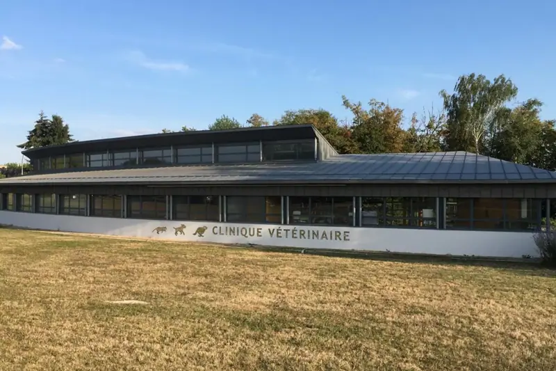 Chartres - Les Sablons - Manager ASV - CDI (H/F) image