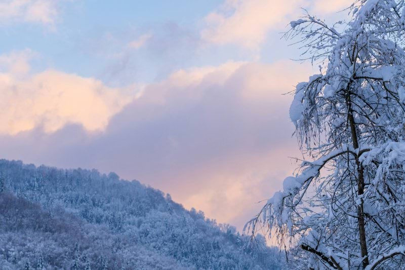 Lääkäri - Porvoo image