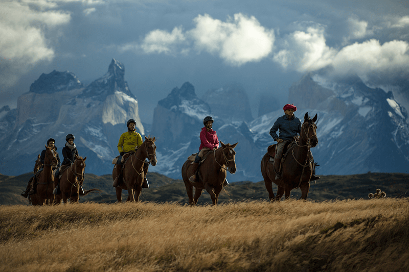 Head of  Operations | Puerto Natales image