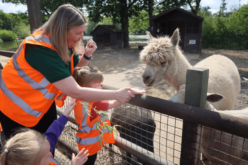 Deputy Manager image