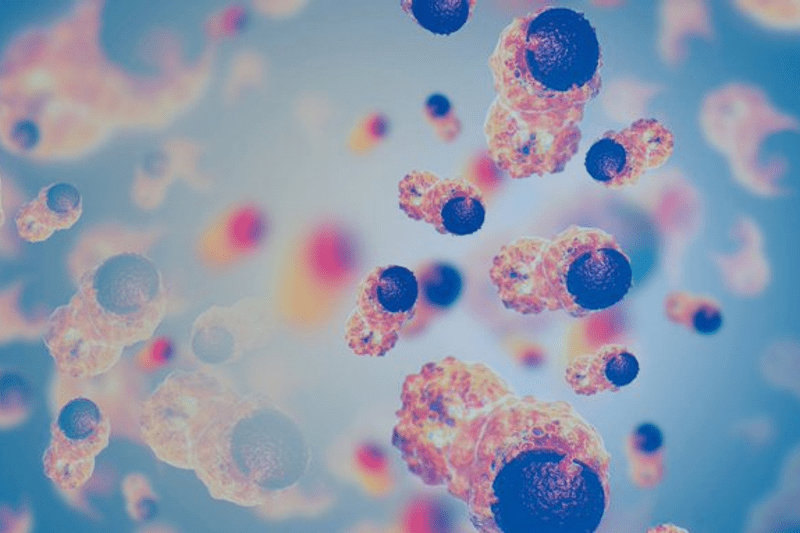 Research Officer for the Mass Spectrometry & Proteomics Core Facility (ref. CF/25/06) image