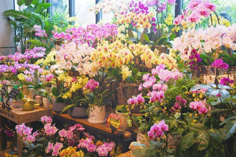 Butikssäljare - Blomsterlandet,  Örebro image