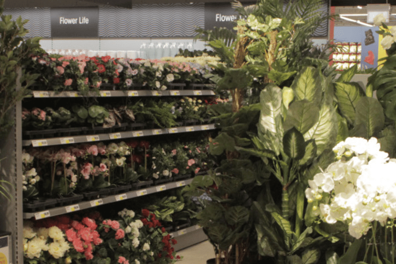 Vikariat butikssäljare image