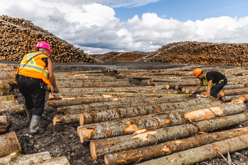 Mesureur.euse - St-Hilarion image