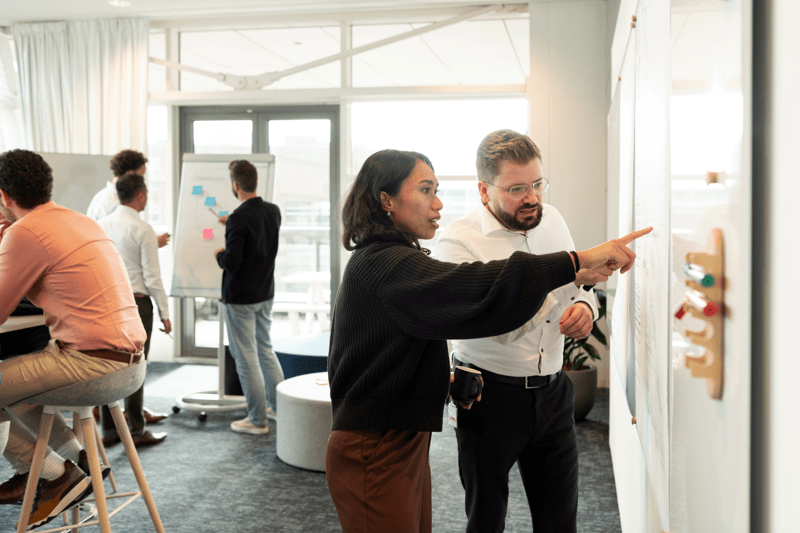 Senior Adviseur Projectbeheersing image