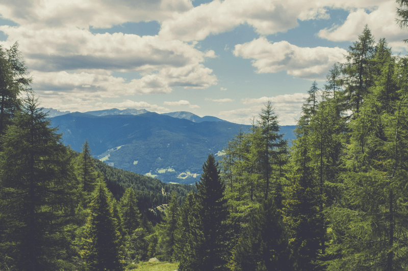 Nätverkstekniker - VMware NSX-T image