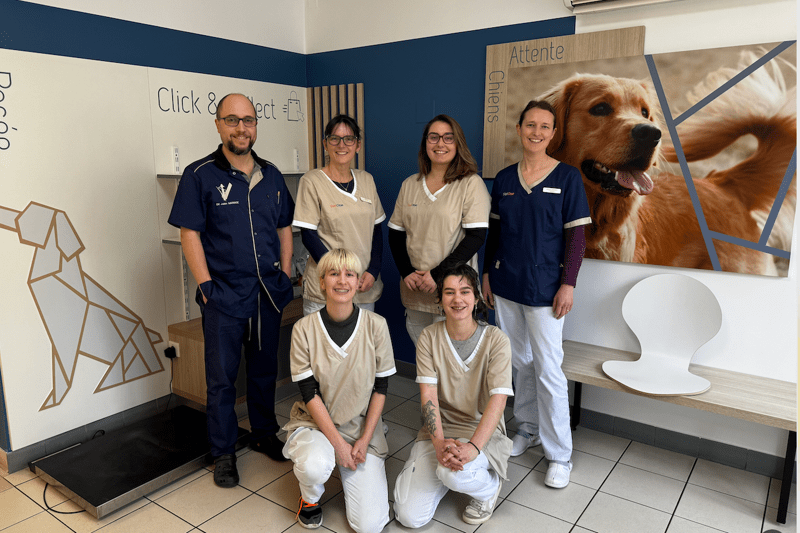 CLINIQUE DES TROIS VILLES - VETERINAIRE DIRECTEUR(TRICE) DE CLINIQUE image